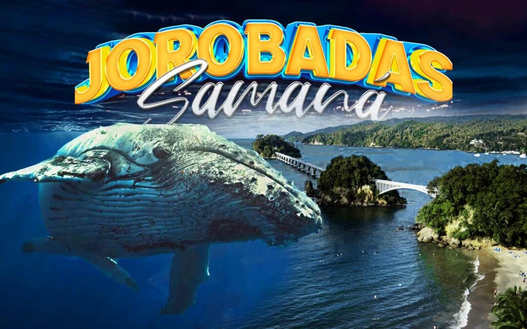 Samaná: el paraíso de las ballenas jorobadas