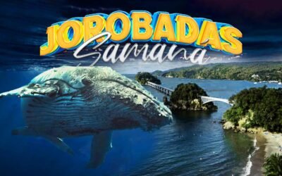 Samaná: el paraíso de las ballenas jorobadas