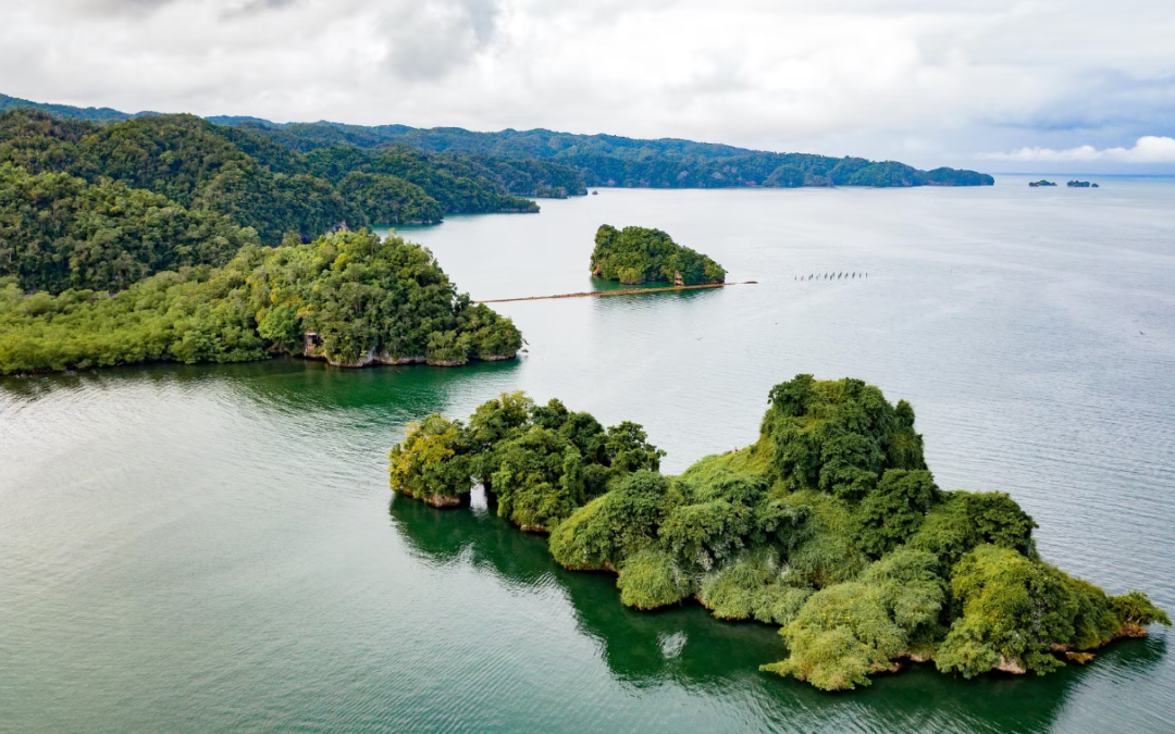 Descubre la Majestuosidad del Parque Nacional Los Haitises: Un Tesoro Natural en la República Dominicana